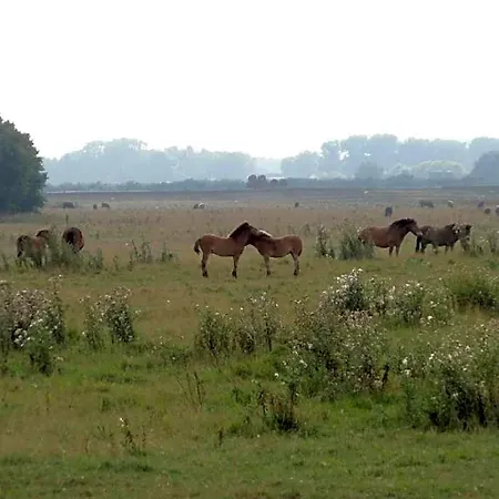 In With Enclosed Garden Schaijk